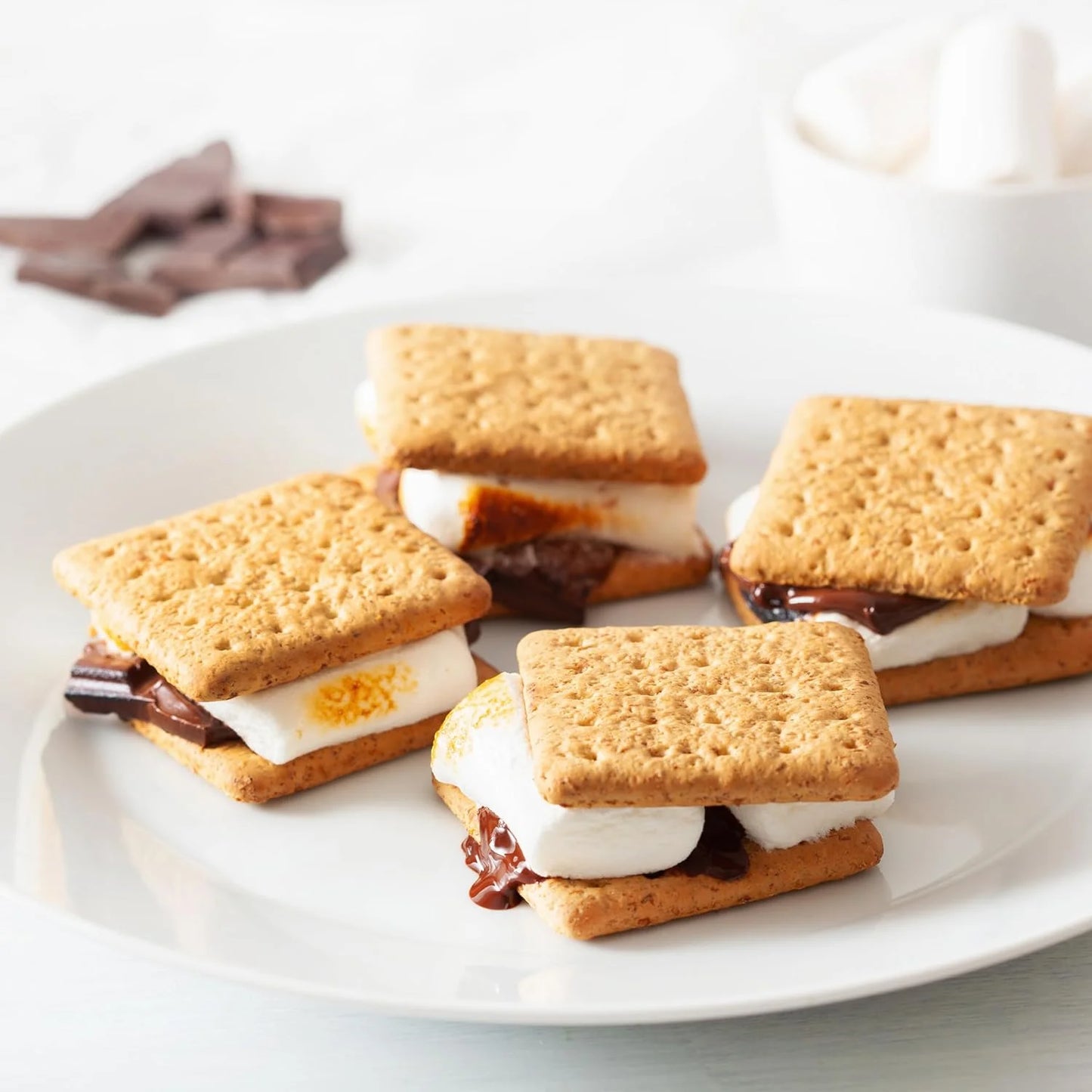 Indoor Electric Smores Maker Kit 